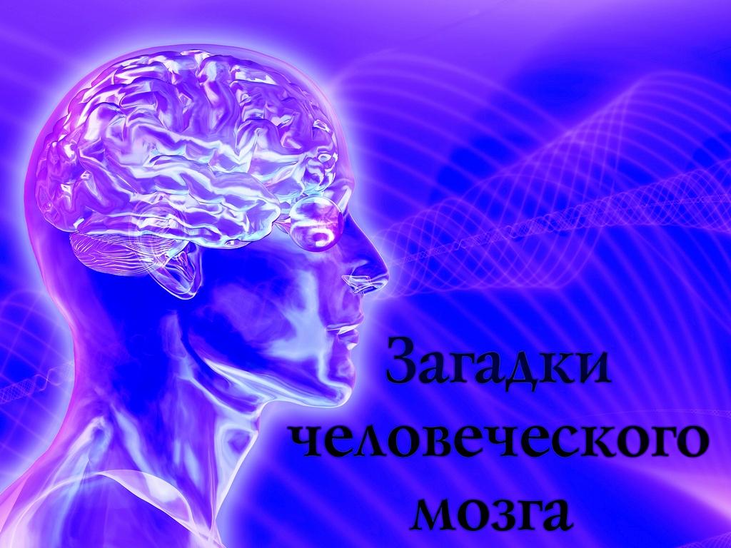 Загадки человеческого мозга (zagadki-chelovecheskogo-mozga) Познавательное