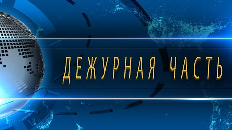 Постер Дежурная часть