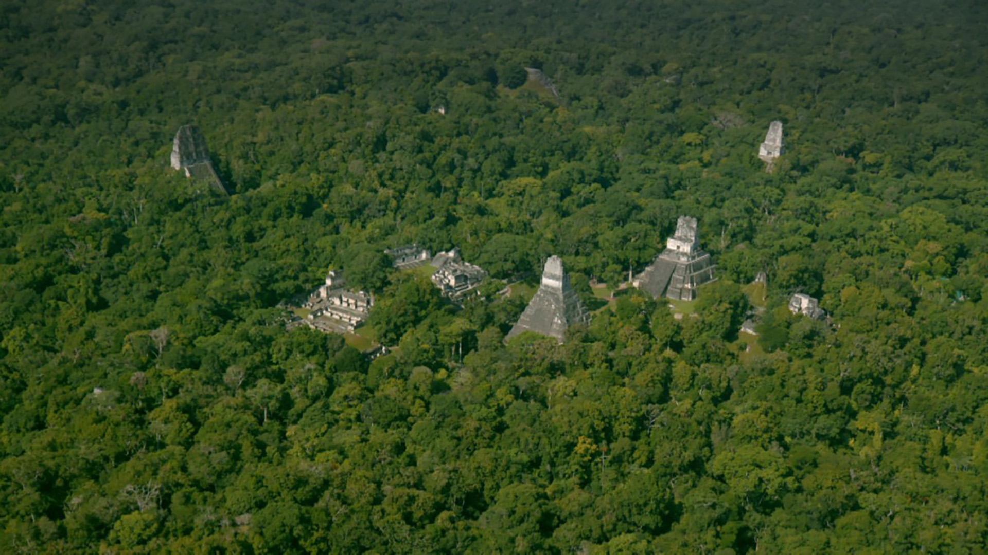 Lost Treasures of the Maya Snake King (lost-treasures-of-the-maya-snake-king) Документальный фильм