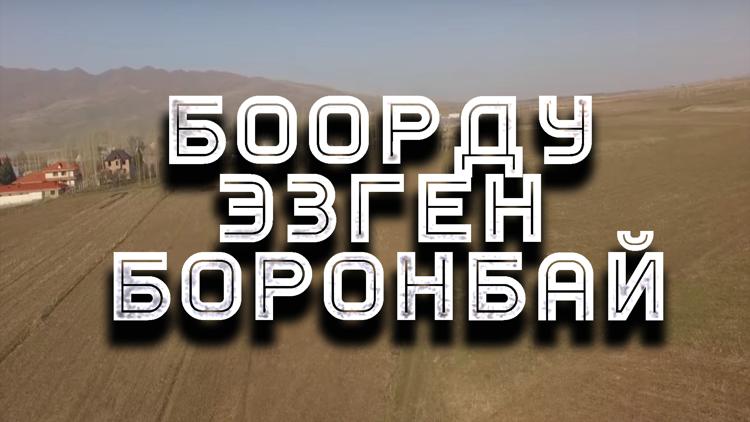 Постер Боорду эзген Боронбай