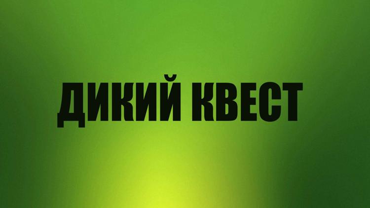 Постер Дикий квест