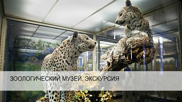 Постер Зоологический музей. Экскурсия