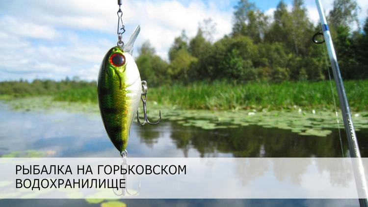 Постер Рыбалка на Горьковском водохранилище