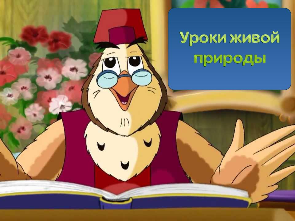Уроки тётушки Совы. Уроки живой природы (uroki-tetushki-sovy-uroki-zhivoj-prirody) Мультсериал 2008