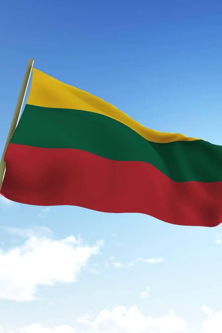 Laisvės dienos susitikimas (laisvs-dienos-susitikimas) Другое