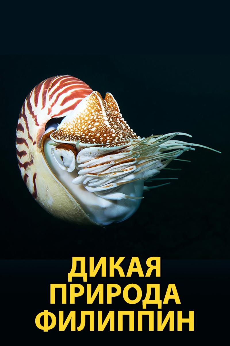 Дикая природа Филиппин (dikaja-priroda-filippin) Документальный сериал