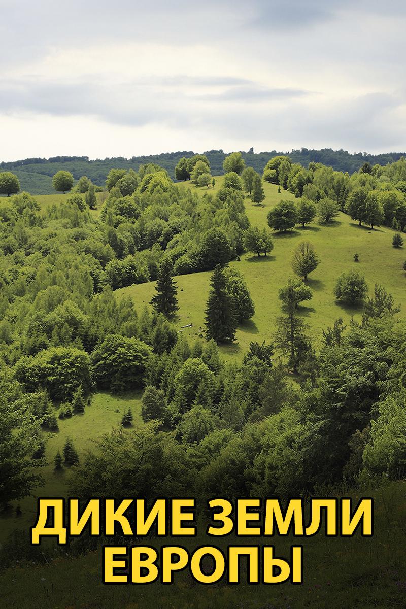 Дикие земли Европы (dikie-zemli-evropy) Документальный сериал