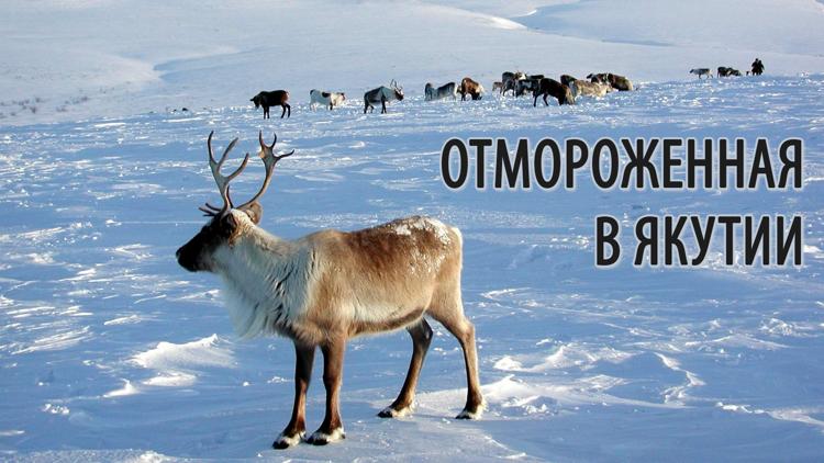 Постер Отмороженная в Якутии