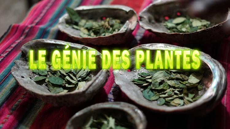 Постер Le génie des plantes