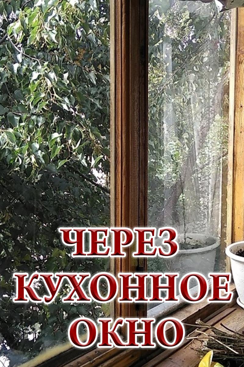 Через кухонное окно (cherez-kuhonnoe-okno) Документальный сериал