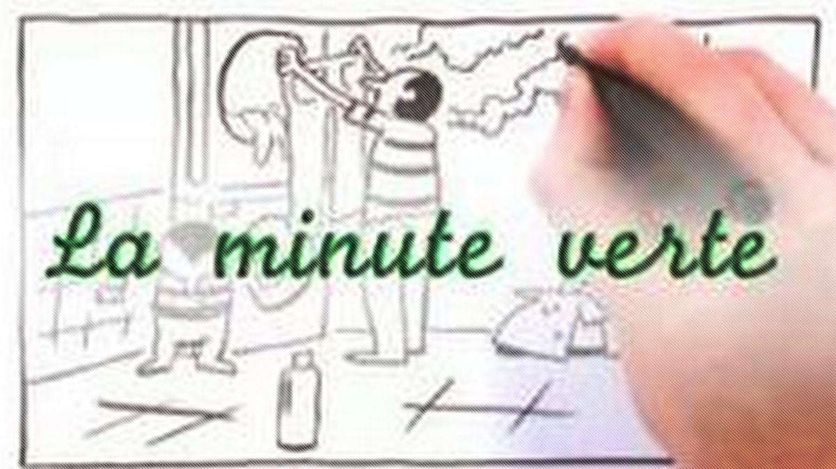 Зеленая минута (zelenaja-minuta) Познавательное