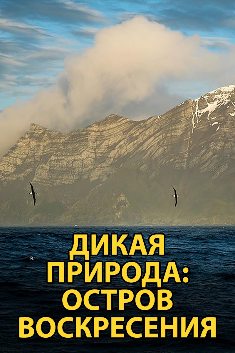 Дикая природа: остров Воскресения (dikaja-priroda-ostrov-voskresenija) Документальный фильм