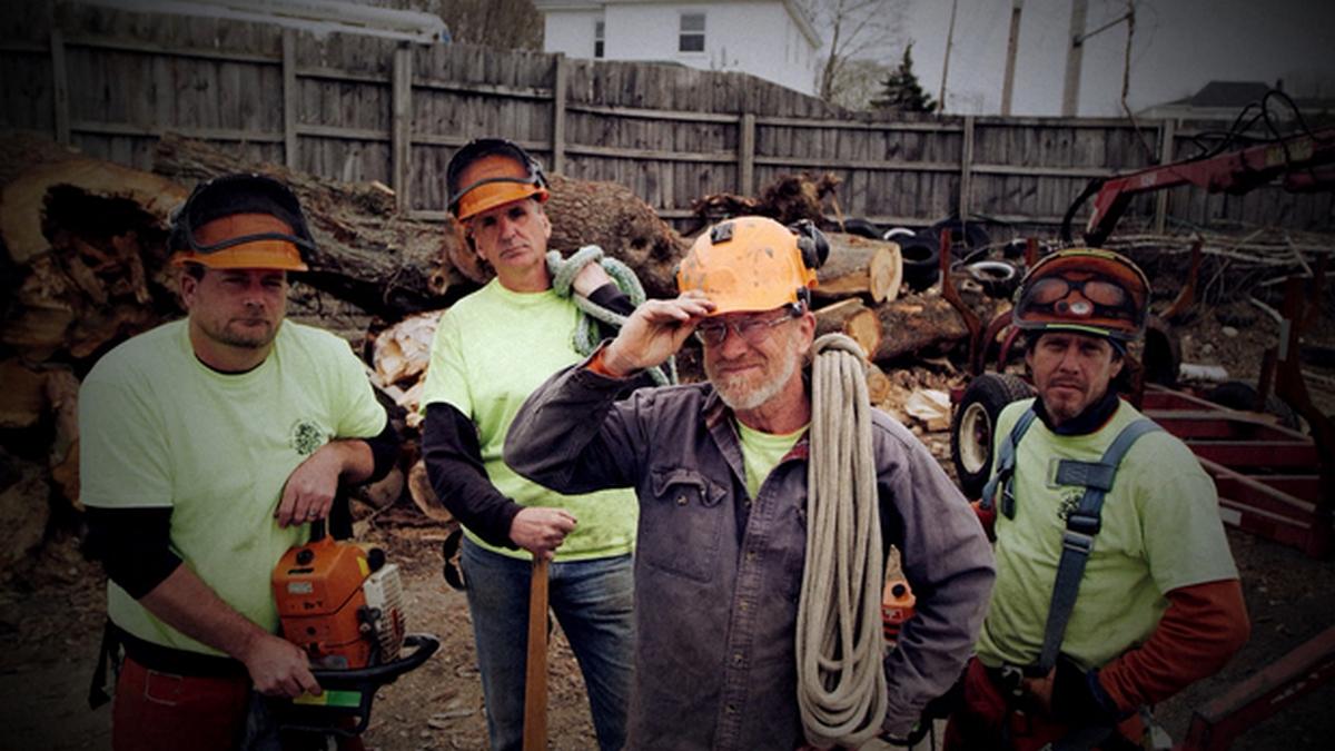 Большое опасное дерево (bolshoe-opasnoe-derevo) Документальный сериал