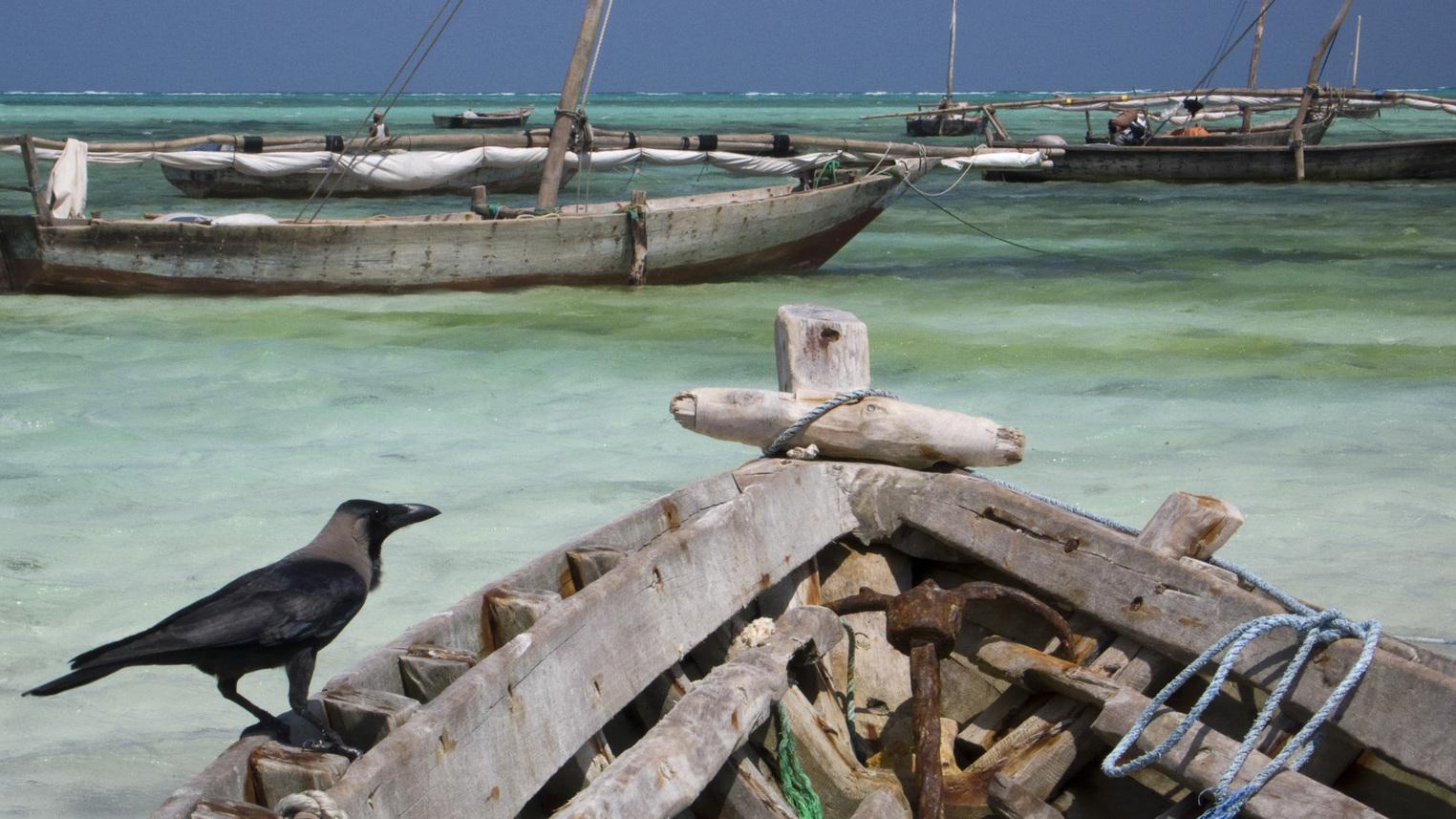 Неизведанные острова (neizvedannye-ostrova) Документальный сериал