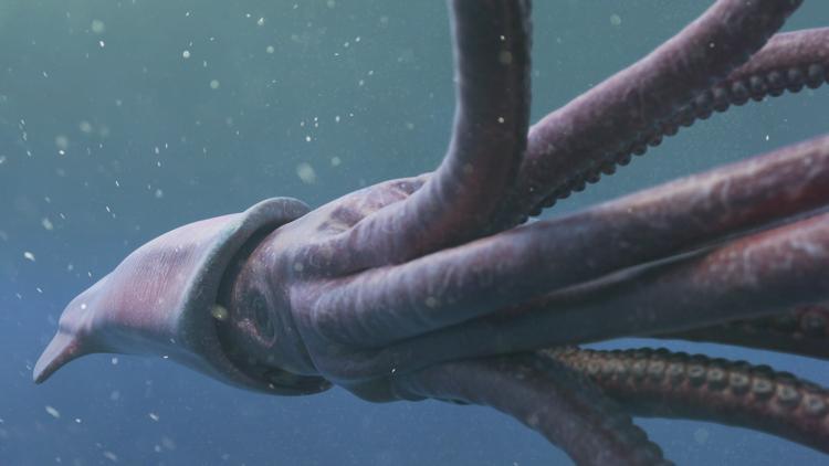 Постер Hunt for the Giant Squid