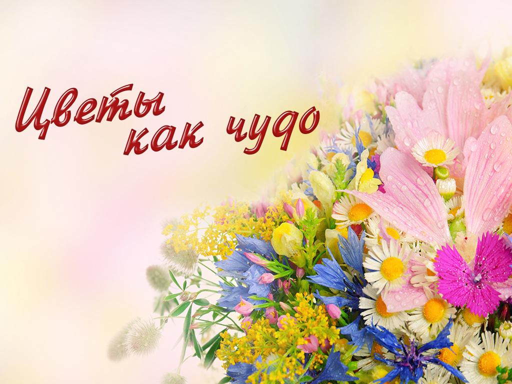 Цветы как чудо (tsvety-kak-chudo) Документальный сериал
