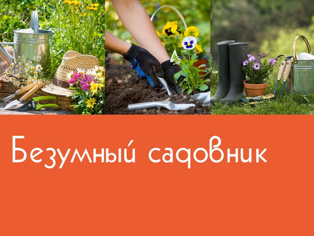 Безумный садовник (bezumnyj-sadovnik) Досуг, хобби