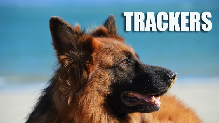 Постер Trackers