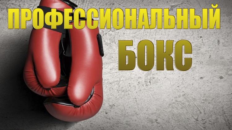 Постер Профессиональный бокс. Бой за титул WBO International в полутяжёлом весе. Апти Давтаев против Педро Отаса. Трансляция из Грозного