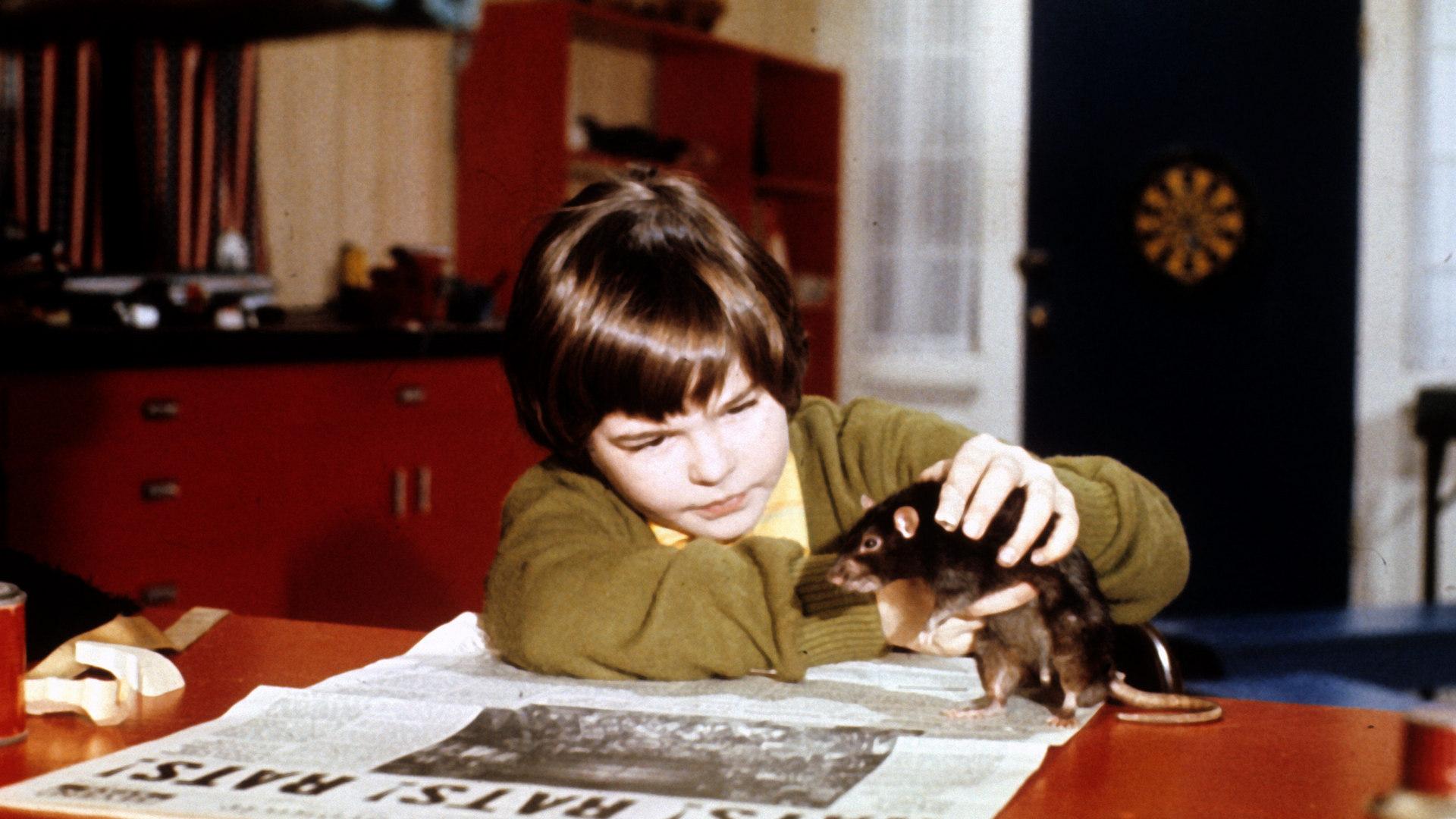 Бен (ben) Фильм 1972