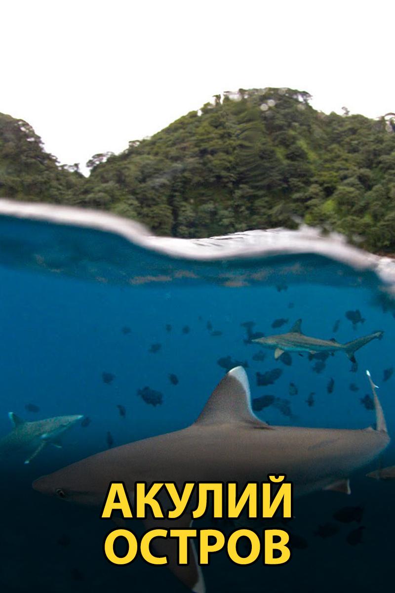 Акулий остров (akulij-ostrov) Документальный фильм