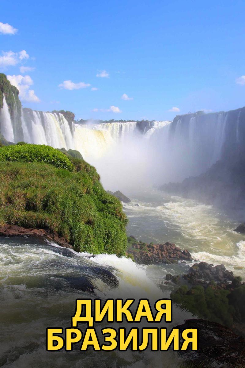 Дикая Бразилия (dikaja-brazilija) Документальный сериал