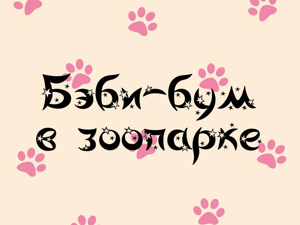 Бэби-бум в зоопарке (bebi-bum-v-zooparke) Познавательное