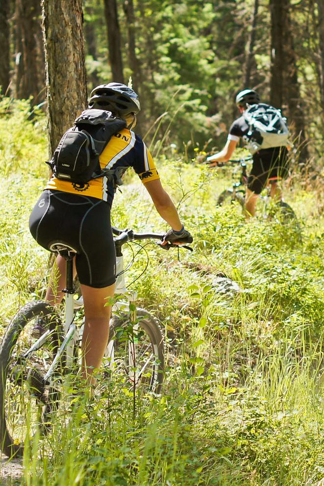Спортивная выставка (sportivnaja-vystavka) Досуг, хобби