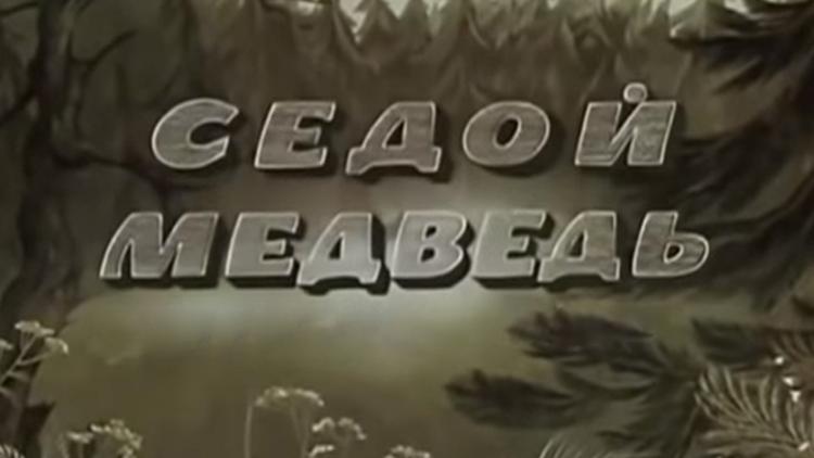 Постер Седой медведь