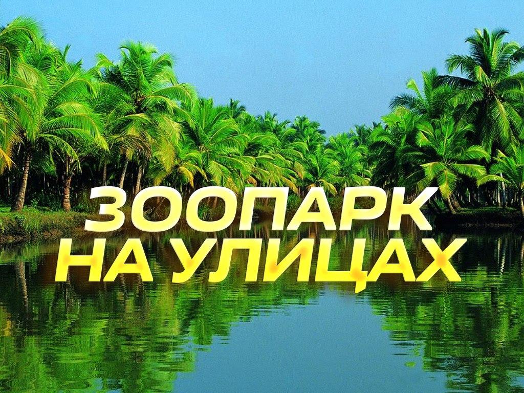 Зоопарк на улицах (zoopark-na-ulitsah) Документальный сериал