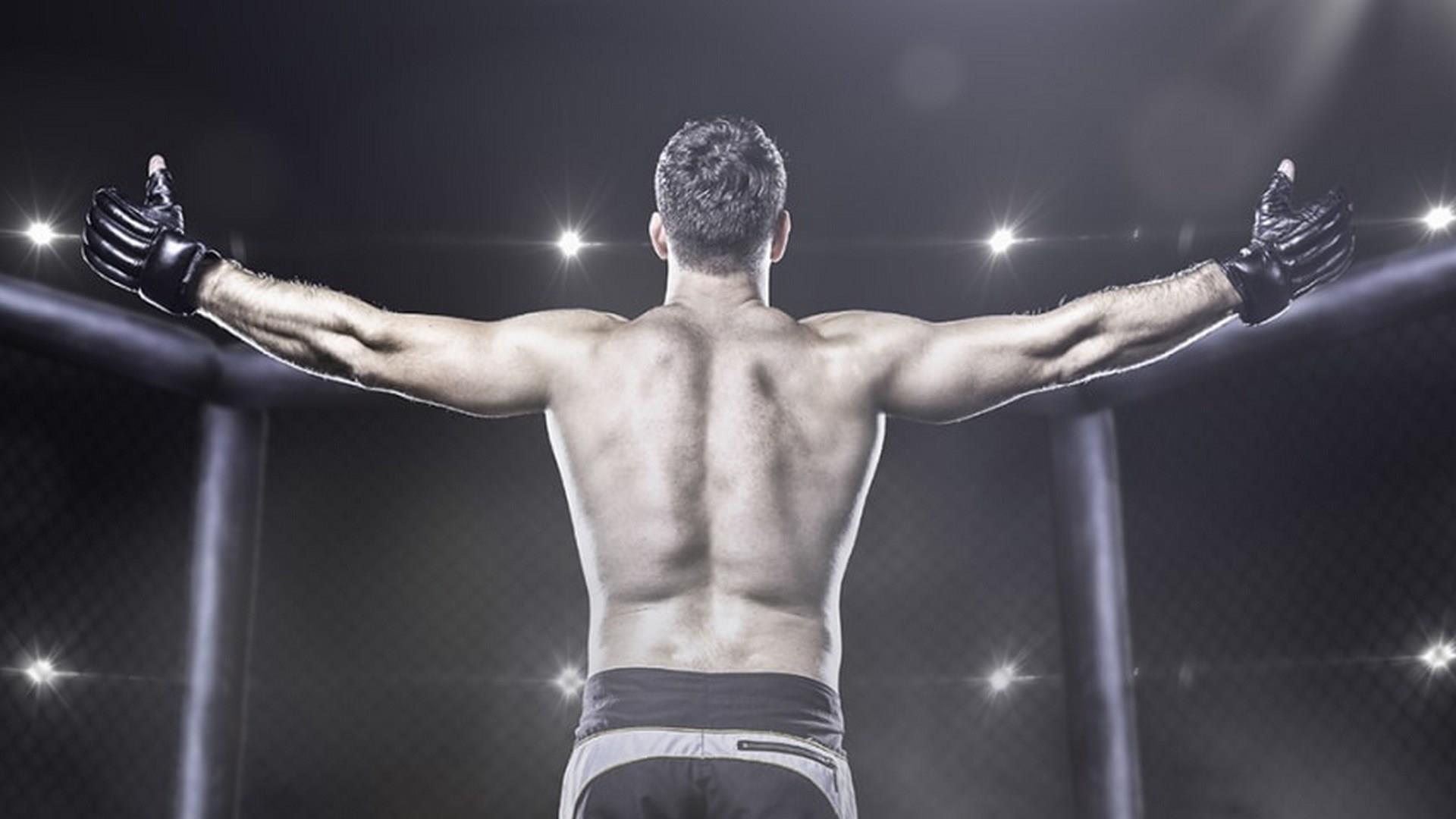 200 Величайших бойцов UFC (200-velichajshih-bojtsov-ufc) Документальный сериал