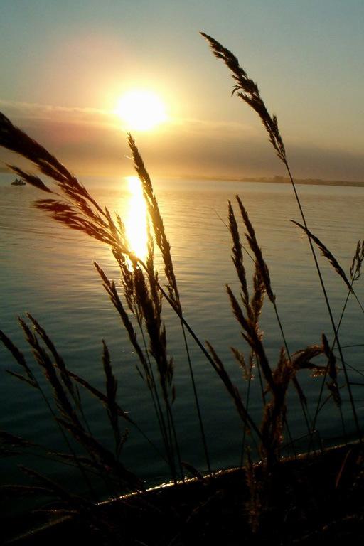 Озеро Карагайкуль (ozero-karagajkul) Досуг, хобби