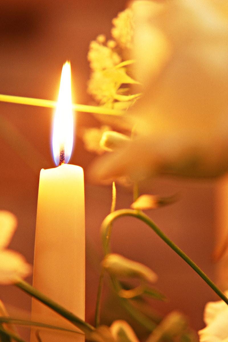 День памяти жертв катастрофы (den-pamjati-zhertv-katastrofy) Другое