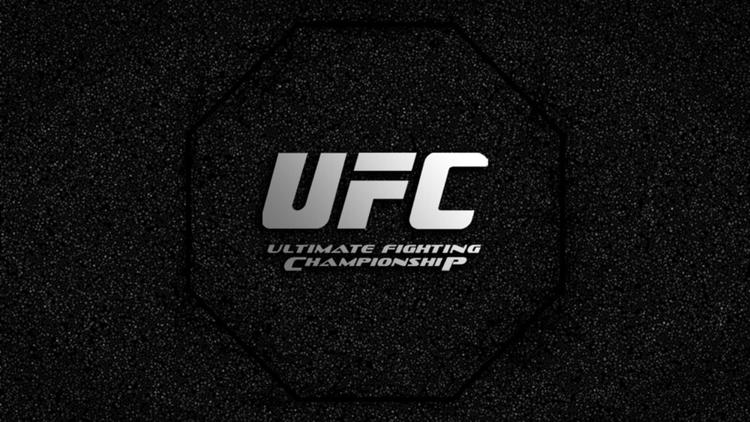 Постер UFC 224. Нуньес vs Пеннингтон