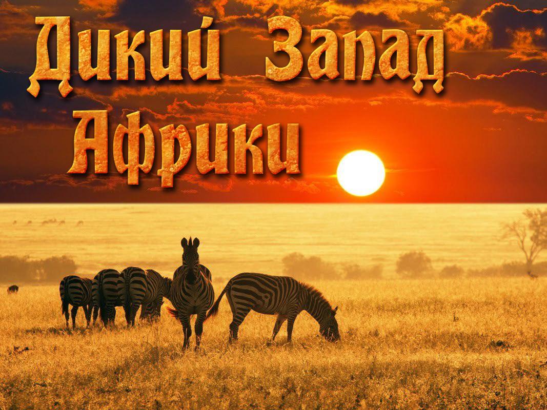 Дикий Запад Африки (dikij-zapad-afriki) Документальный фильм