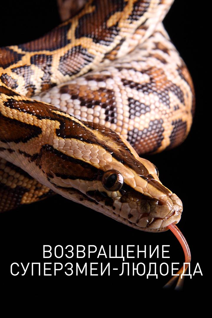 Возвращение суперзмеи-людоеда (vozvraschenie-superzmei-ljudoeda) Документальный фильм