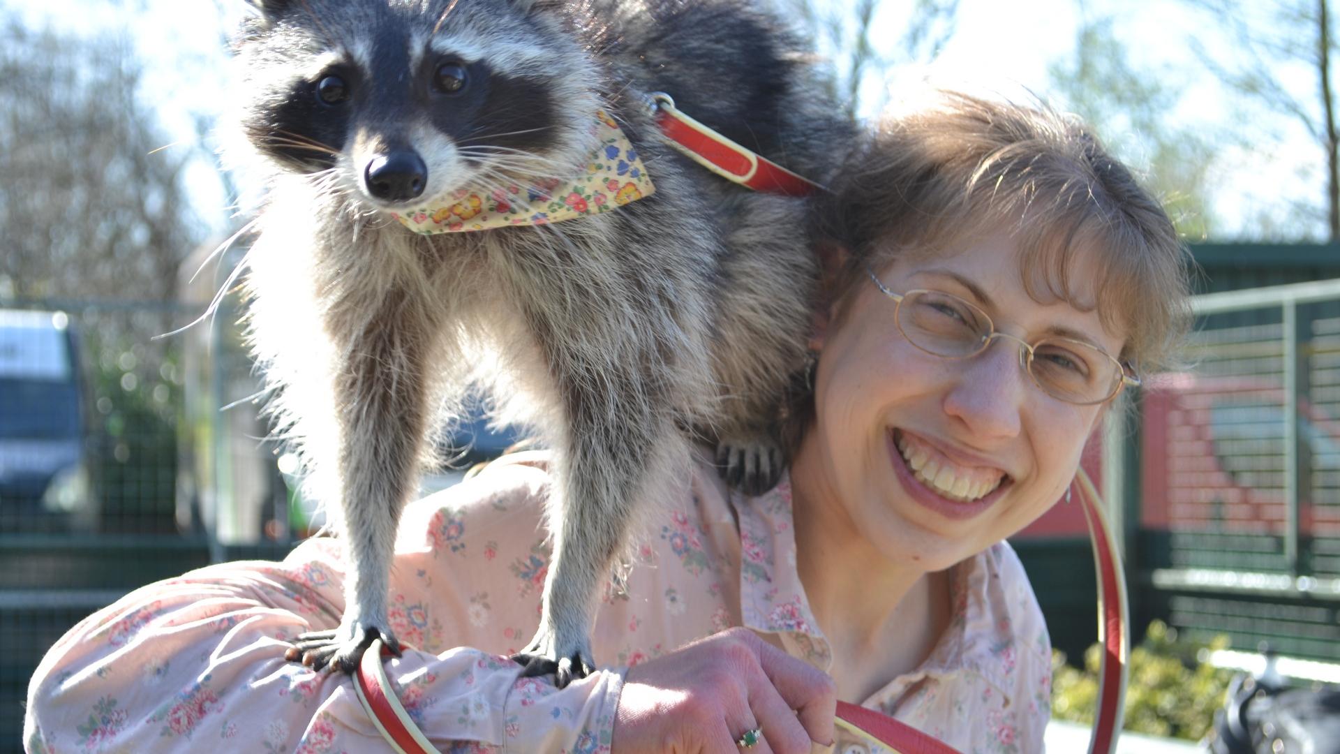 Собака с IQ 102 (sobaka-s-iq-102) Документальный сериал