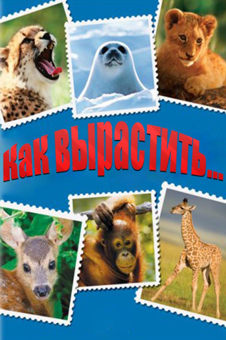 Как вырастить... (kak-vyrastit) Документальный сериал