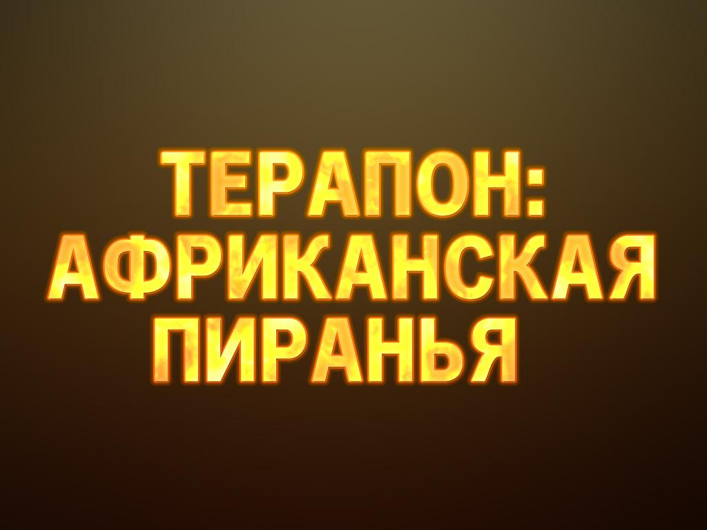 Терапон: африканская пиранья (terapon-afrikanskaja-piranja) Документальный фильм