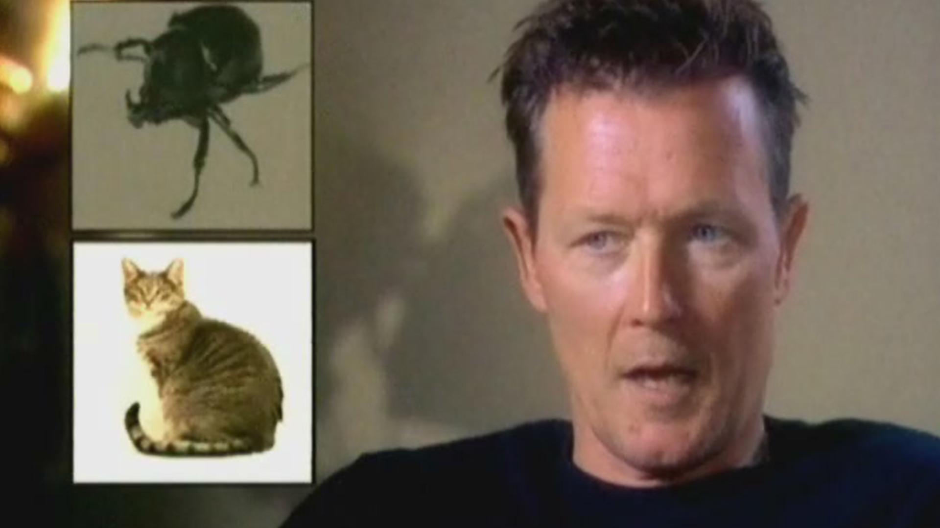 Крутые жизненные повороты (krutye-zhiznennye-povoroty) Документальный сериал