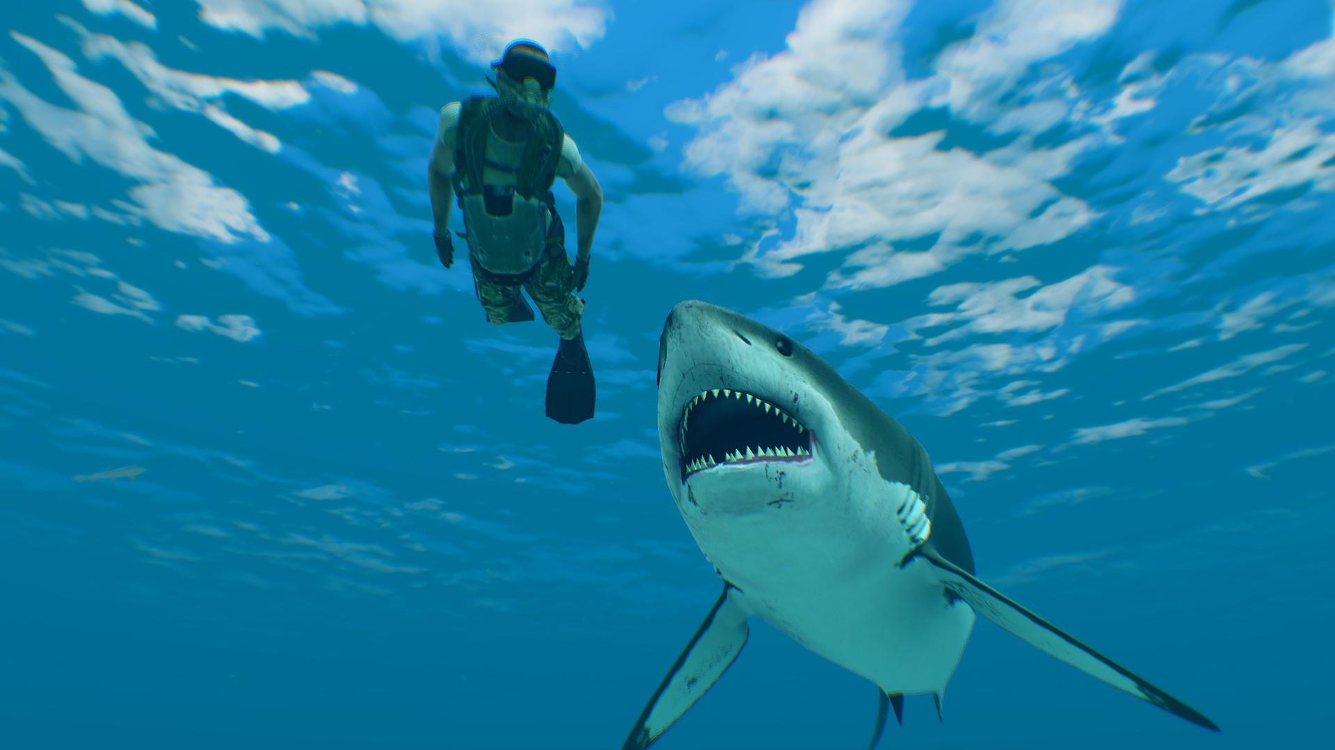 Дело об акульем нападении (delo-ob-akulem-napadenii) Документальный сериал