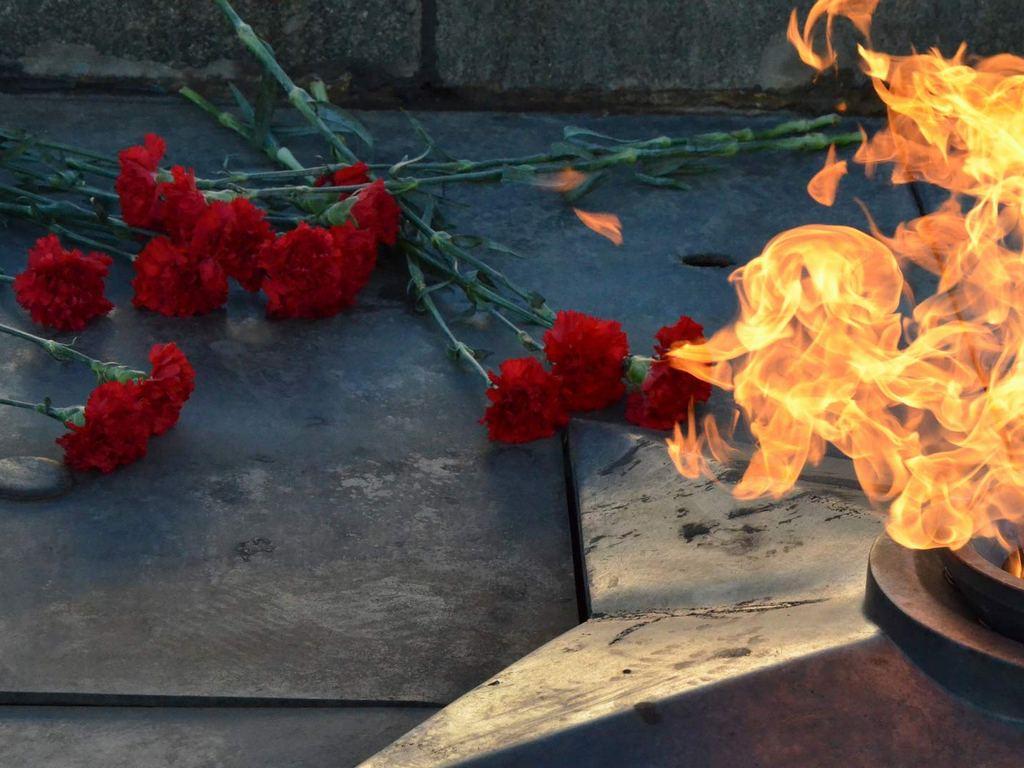 Открытие вахты памяти у Вечного огня (otkrytie-vahty-pamjati-u-vechnogo-ognja) Другое