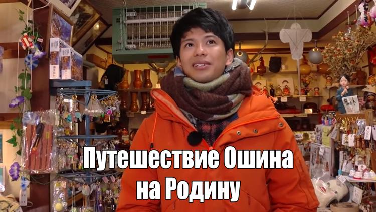 Постер Путешествие Ошина на Родину