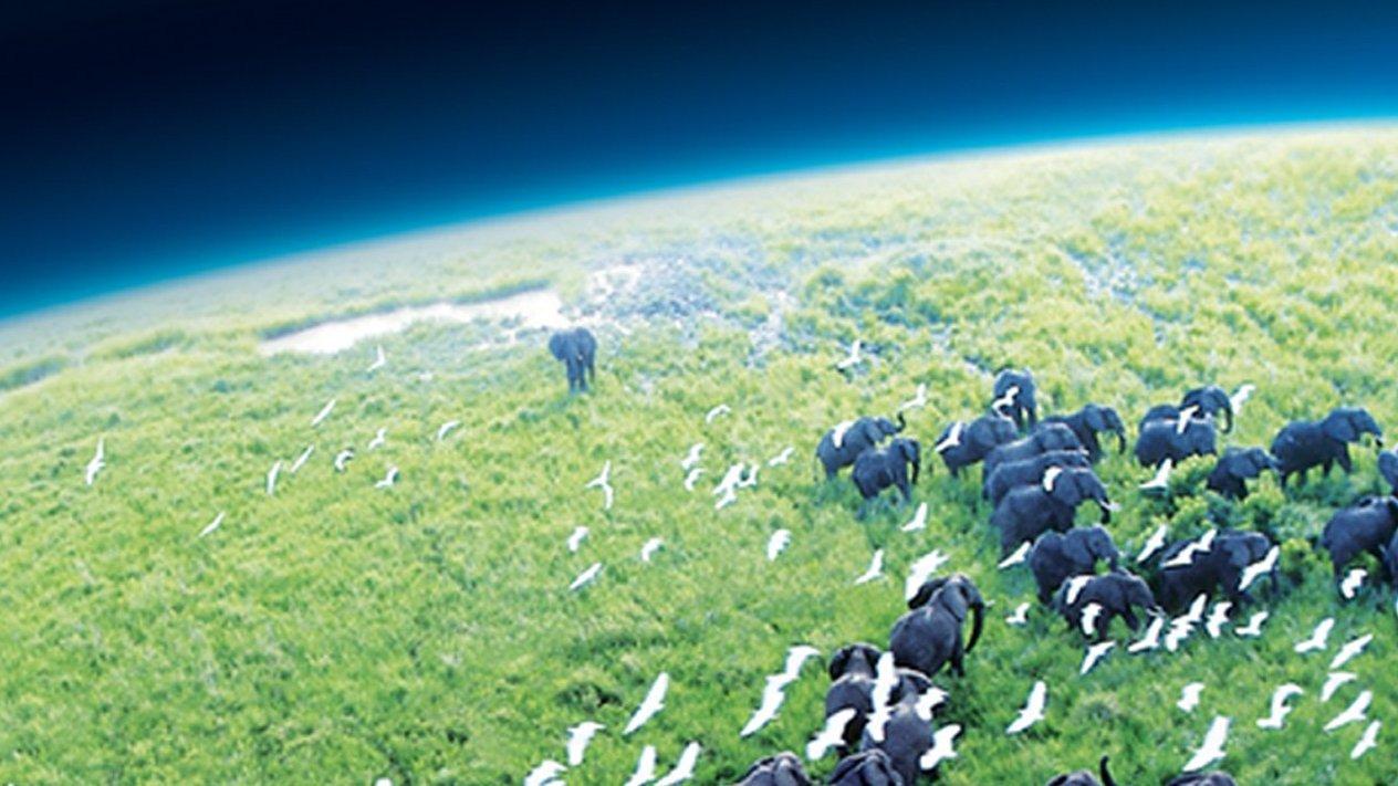 Загадочная планета (zagadochnaja-planeta) Документальный сериал