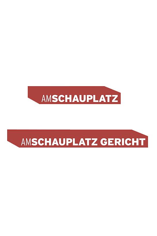 Am Schauplatz Gericht (am-schauplatz-gericht) Документальный сериал