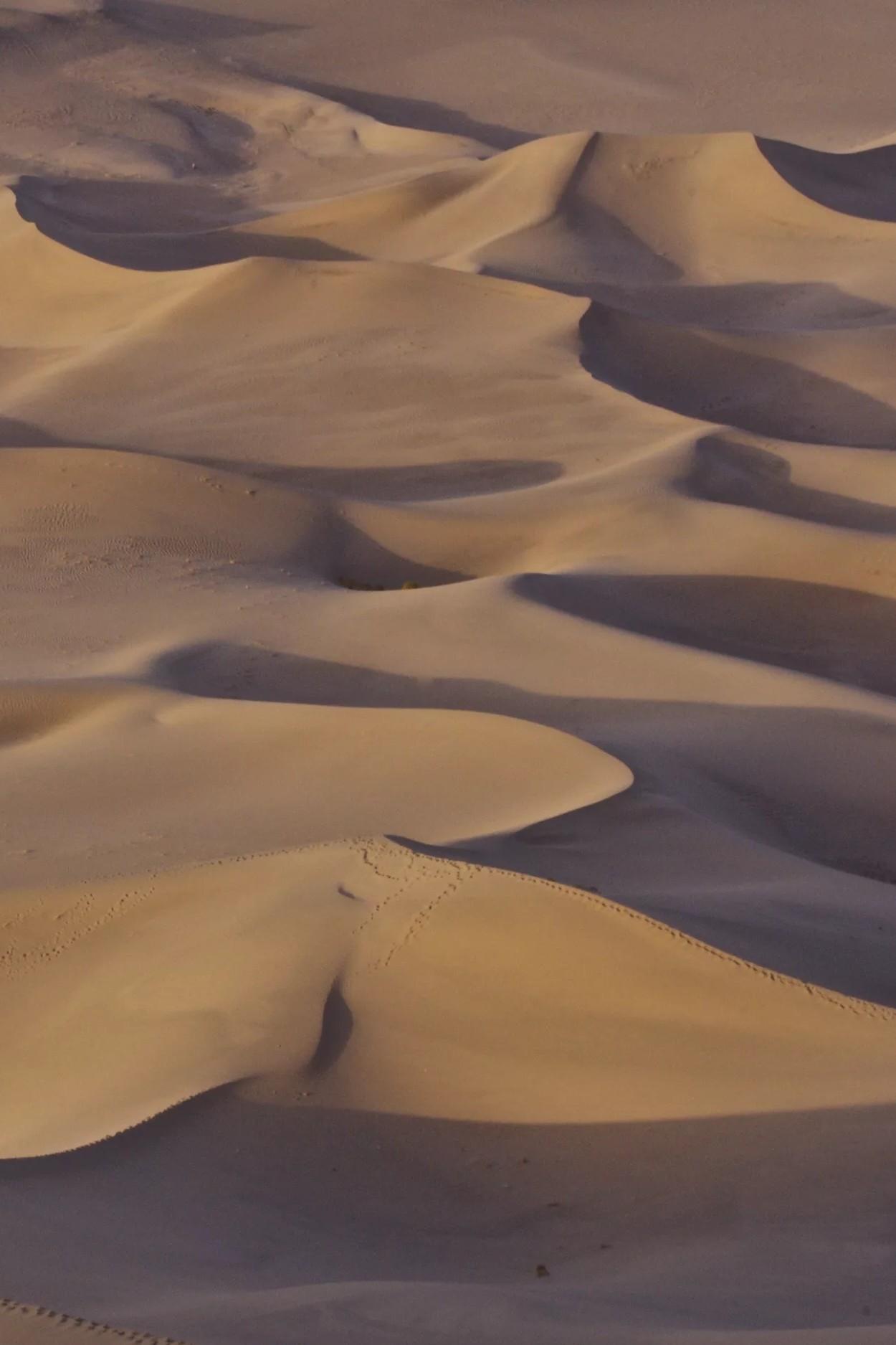 Söhne der Wüste – Durch Gobi und Taklamakan (shne-der-wste-durch-gobi-und-taklamakan) Документальный фильм