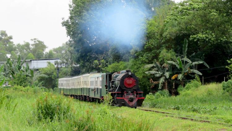 Постер Mit dem Zug auf... Borneo