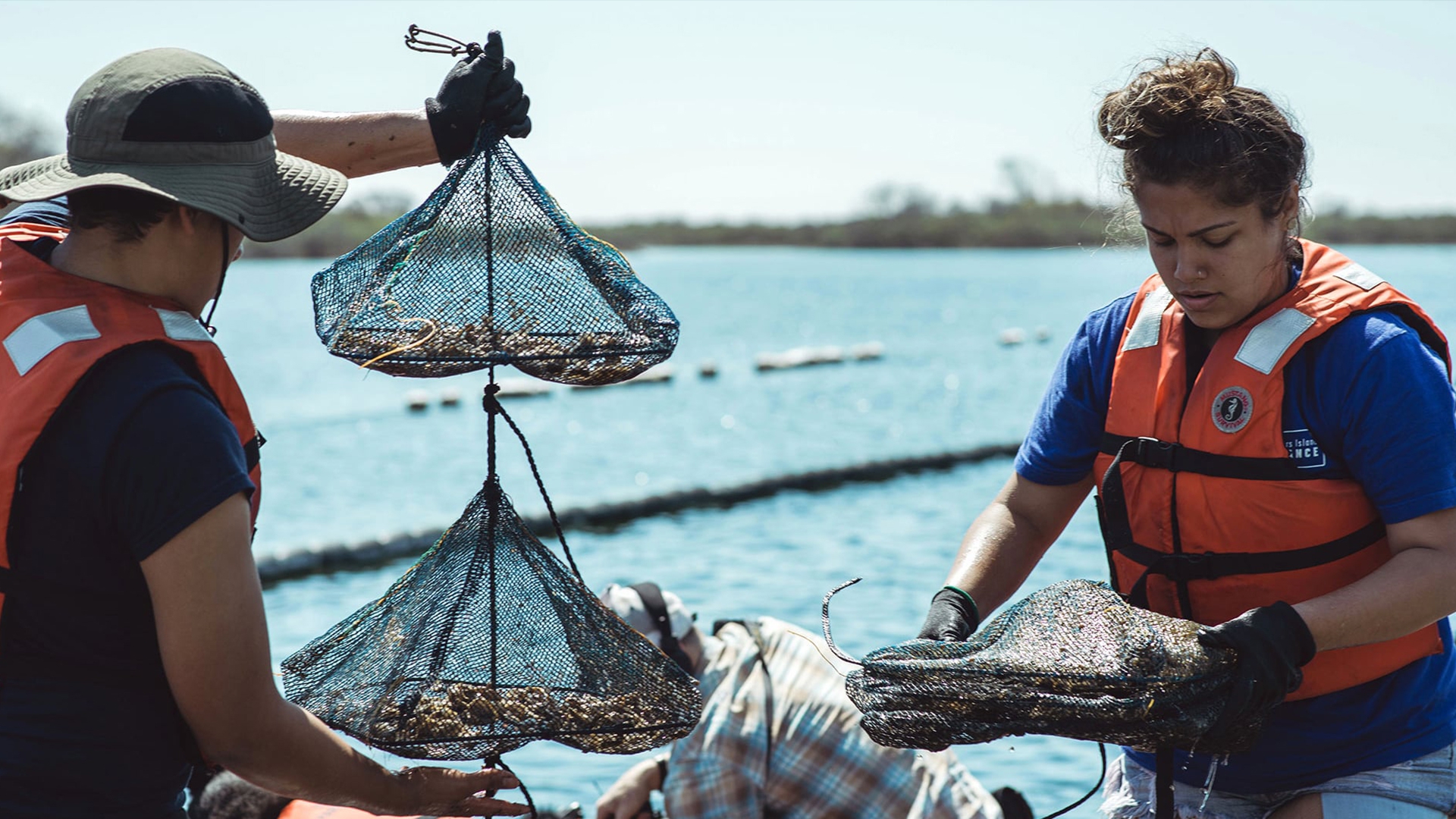 Устрицы Нью-Йорка (ustritsy-nju-jorka) Документальный фильм