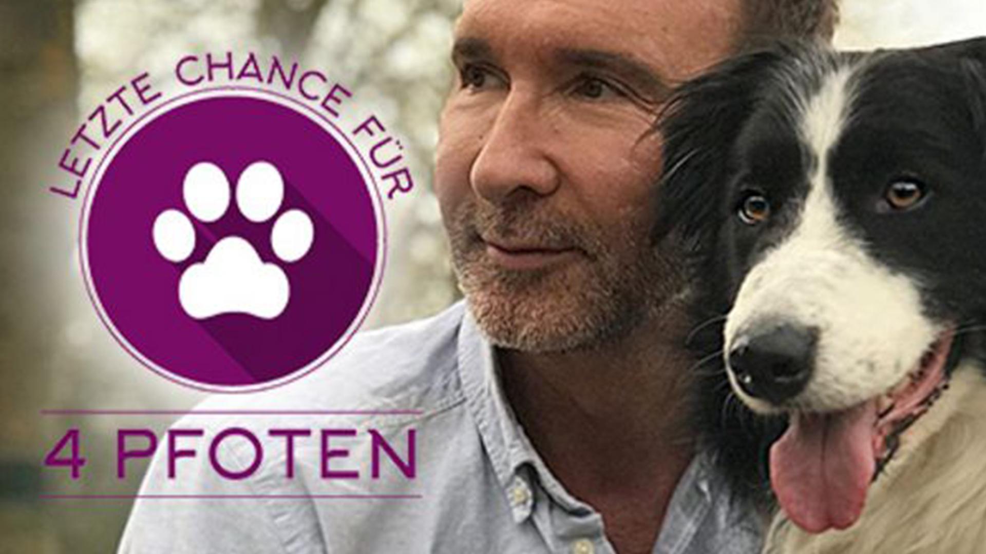 Letzte Chance für 4 Pfoten (letzte-chance-fr-4-pfoten) ТВ-шоу