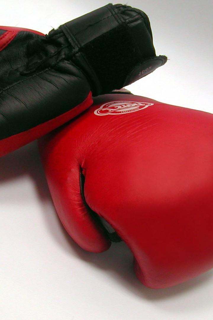Профессиональный бокс 2019. Новые герои (professionalnyj-boks-2019-novye-geroi) Познавательное